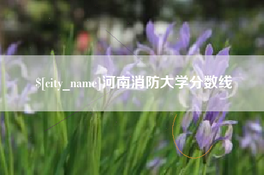 韶关河南消防大学分数线