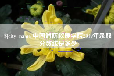 韶关中国消防救援学院2019年录取分数线是多少