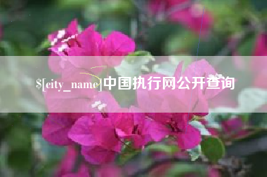 韶关中国执行网公开查询