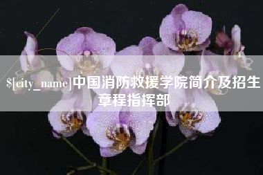 韶关中国消防救援学院简介及招生章程指挥部