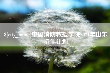 韶关中国消防救援学院2021年山东招生计划