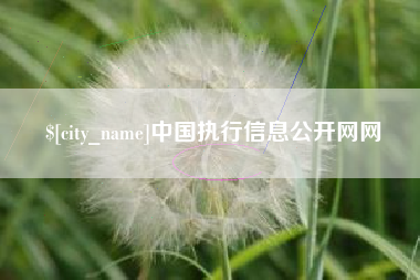 韶关中国执行信息公开网网
