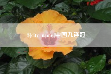 韶关中国九连冠