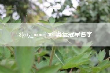 韶关2024奥运冠军名字
