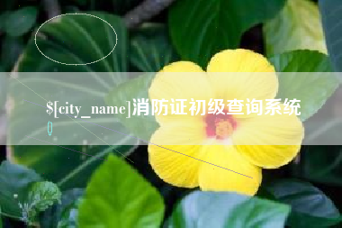 韶关消防证初级查询系统