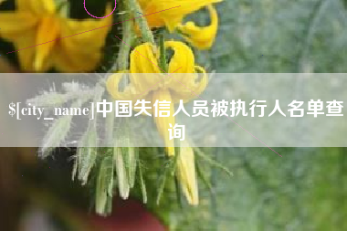 韶关中国失信人员被执行人名单查询