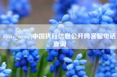韶关中国执行信息公开网客服电话查询