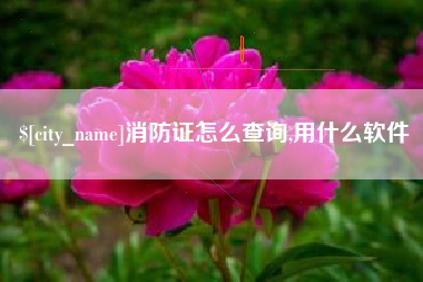 韶关消防证怎么查询,用什么软件