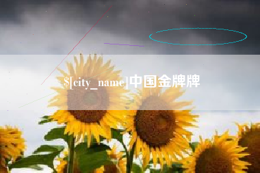 韶关中国金牌牌