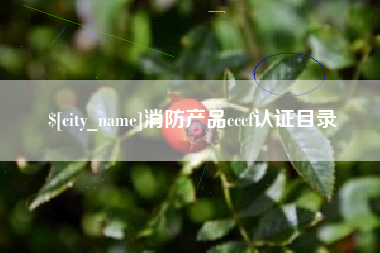 韶关消防产品cccf认证目录