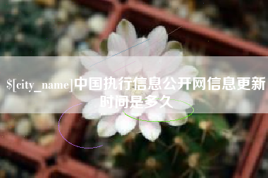 韶关中国执行信息公开网信息更新时间是多久