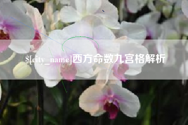 韶关西方命数九宫格解析