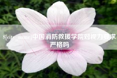 韶关中国消防救援学院对视力要求严格吗