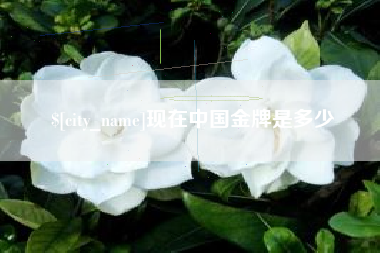 韶关现在中国金牌是多少