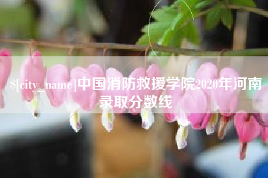 韶关中国消防救援学院2020年河南录取分数线