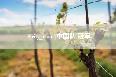 韶关中国队 冠军