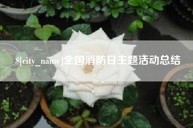 韶关全国消防日主题活动总结