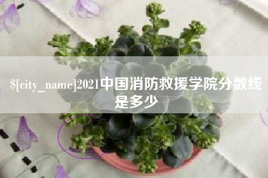 韶关2021中国消防救援学院分数线是多少