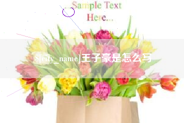 韶关王子豪是怎么写
