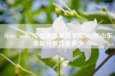 韶关中国消防救援学院2021年山东录取分数线是多少
