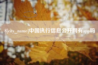 韶关中国执行信息公开网有app吗