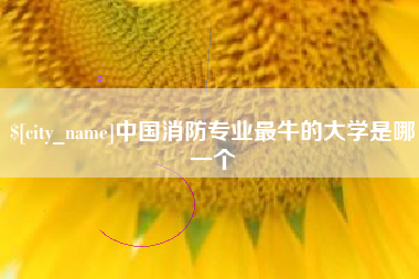 韶关中国消防专业最牛的大学是哪一个