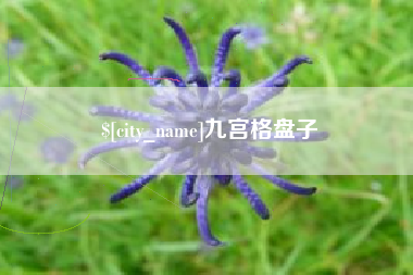 韶关九宫格盘子