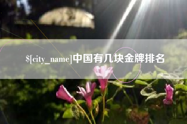 韶关中国有几块金牌排名