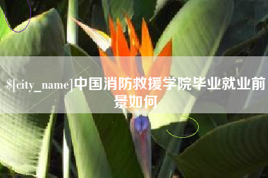 韶关中国消防救援学院毕业就业前景如何