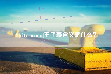 韶关王子豪含义是什么？