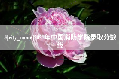 韶关2021年中国消防学院录取分数线