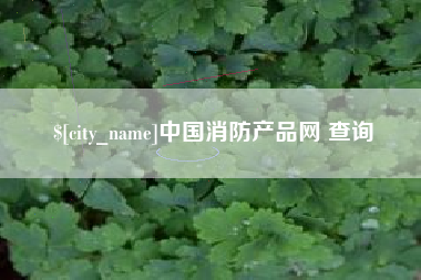 韶关中国消防产品网 查询