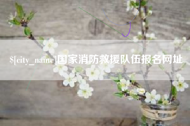 韶关国家消防救援队伍报名网址