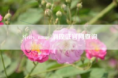 韶关消控证官网查询