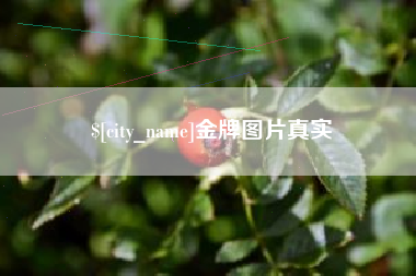韶关金牌图片真实