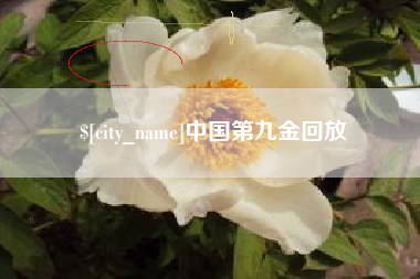韶关中国第九金回放