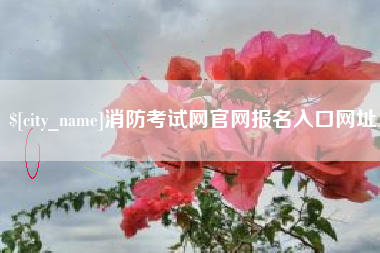 韶关消防考试网官网报名入口网址