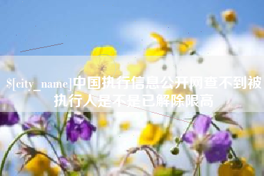 韶关中国执行信息公开网查不到被执行人是不是已解除限高