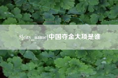 韶关中国夺金大项是谁