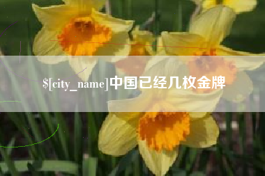 韶关中国已经几枚金牌
