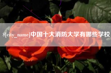 韶关中国十大消防大学有哪些学校