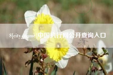 韶关中国执行网公开查询入口