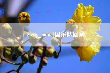 韶关国家队图案