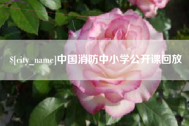 韶关中国消防中小学公开课回放