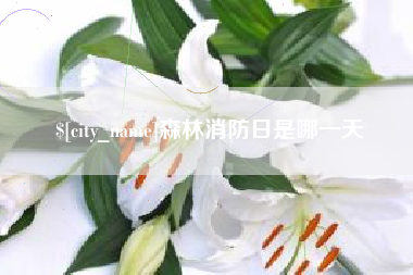 韶关森林消防日是哪一天