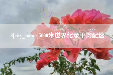 韶关5000米世界纪录平均配速