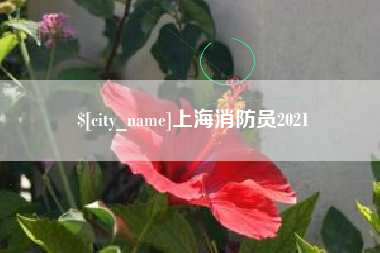 韶关上海消防员2021