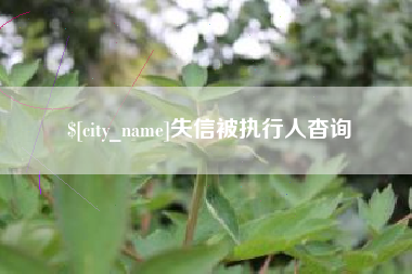 韶关失信被执行人杳询