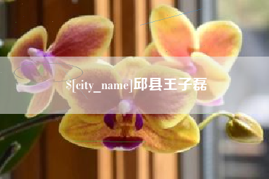 韶关邱县王子磊