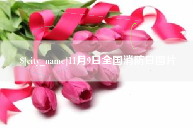 韶关11月9日全国消防日图片
